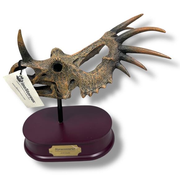 DinoStoreus Styracosaurus Dinosaur Skull Model 1/10 Scale w/ Base Open Box New - Picture 1 of 6